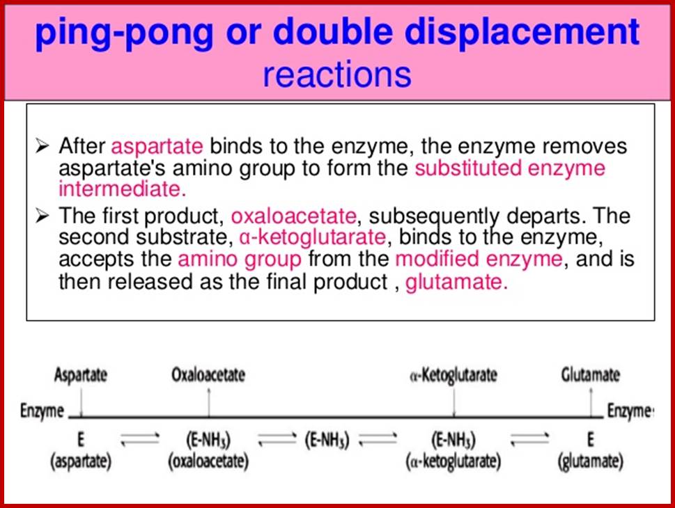 bisubstrate-reactions-enzyme-kinetics-14-638