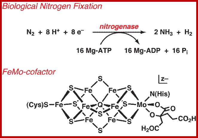 Image result for nitrogenase complex