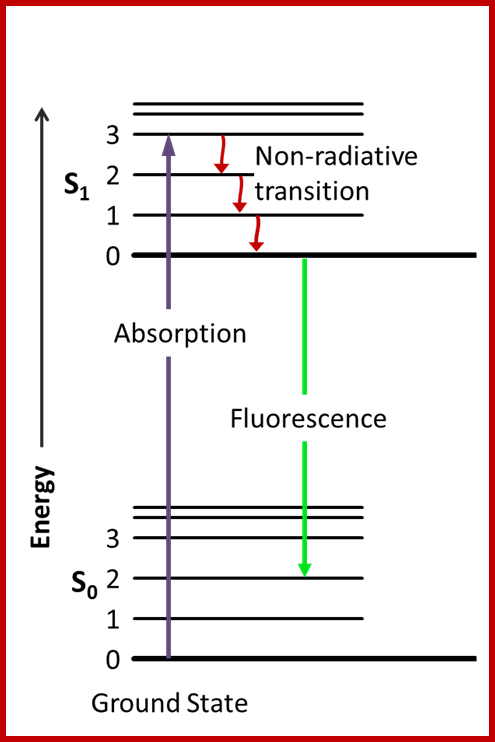 Jablonski_Diagram_of_Fluorescence_Only