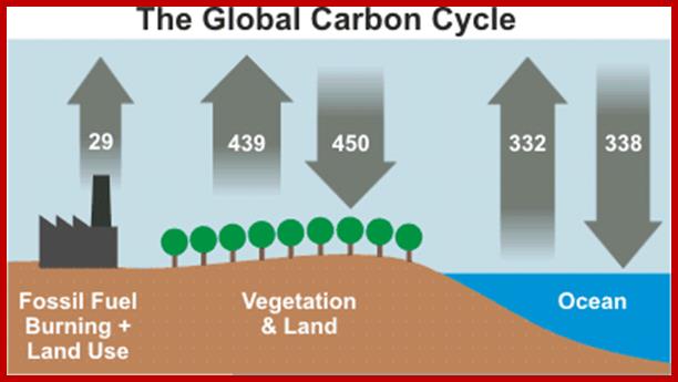 http://www.skepticalscience.com/images/Carbon_Cycle.gif