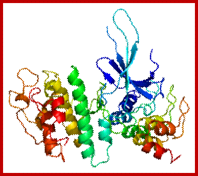 Protein CDK6 PDB 1bi7.png