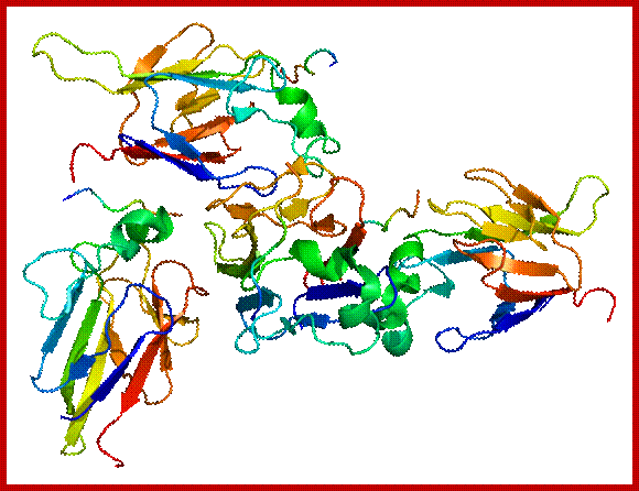 Description: Protein CHEK2 PDB 1gxc.png